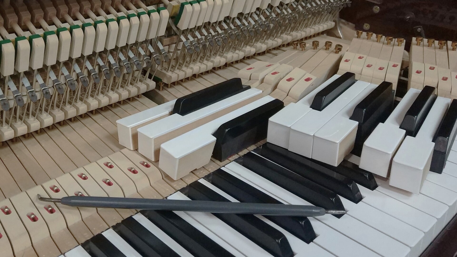 Lea Lamy Riebel - Afinación de pianos Mallorca | Regulación