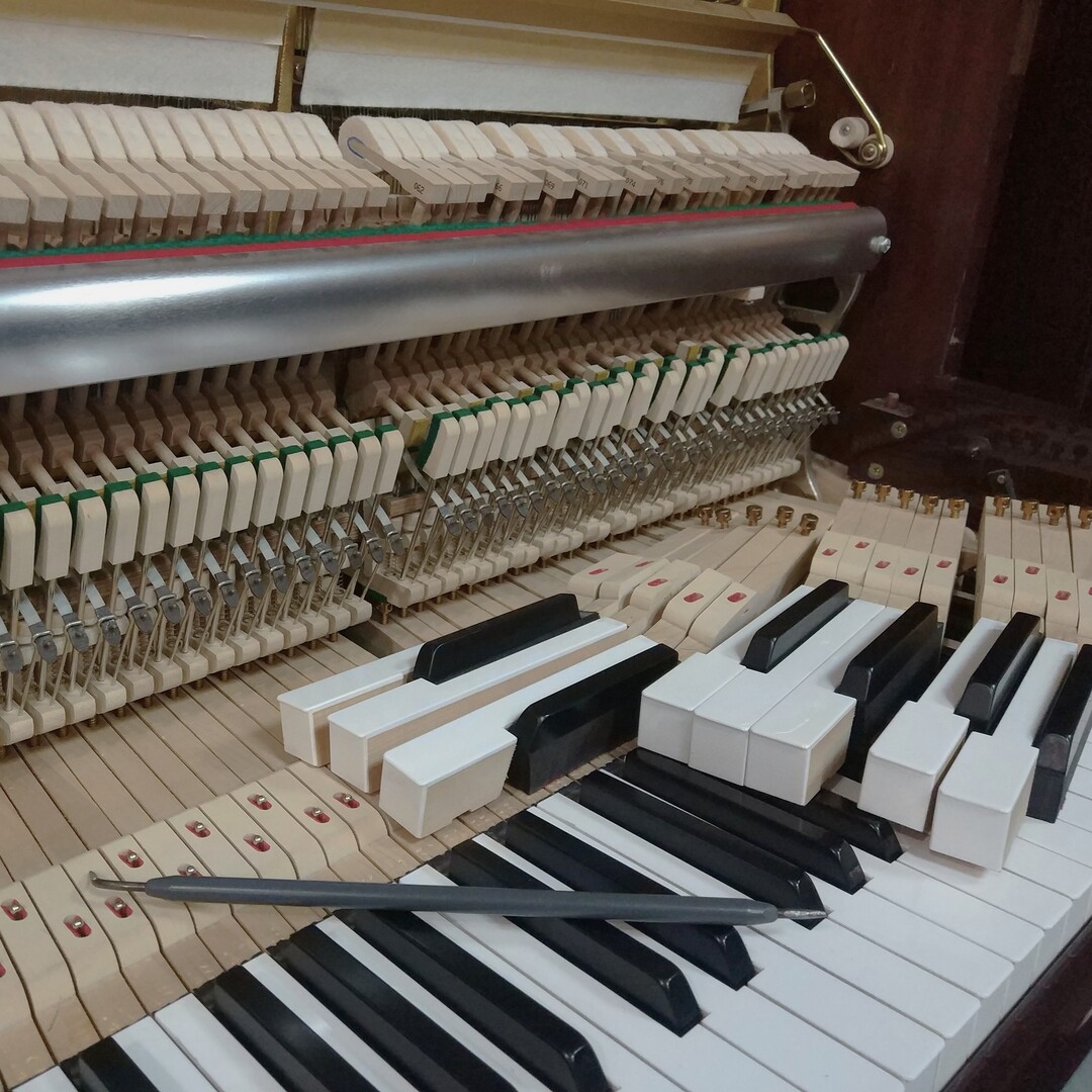 Lea Lamy Riebel - Afinación de pianos Mallorca | Regulación