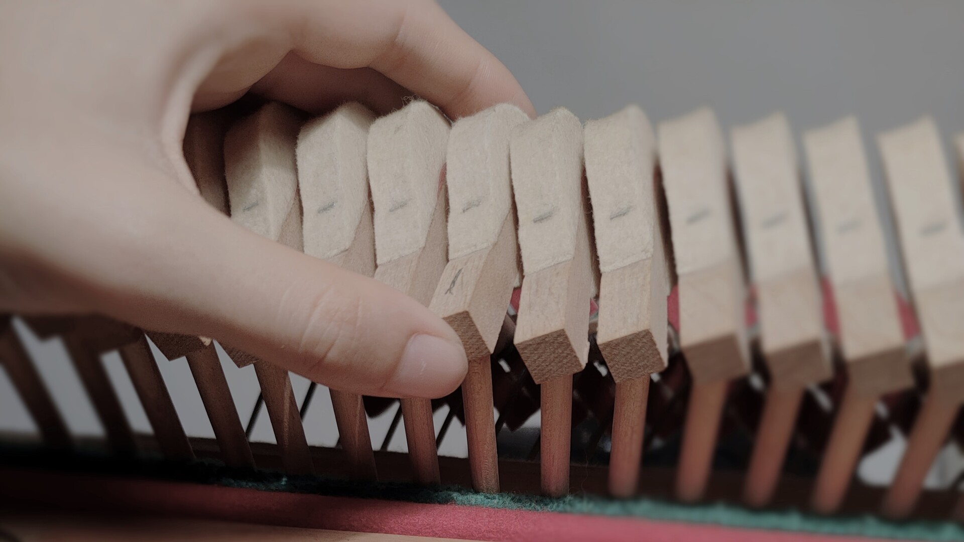 Lea Lamy Riebel - Afinación de pianos Mallorca | Reparación