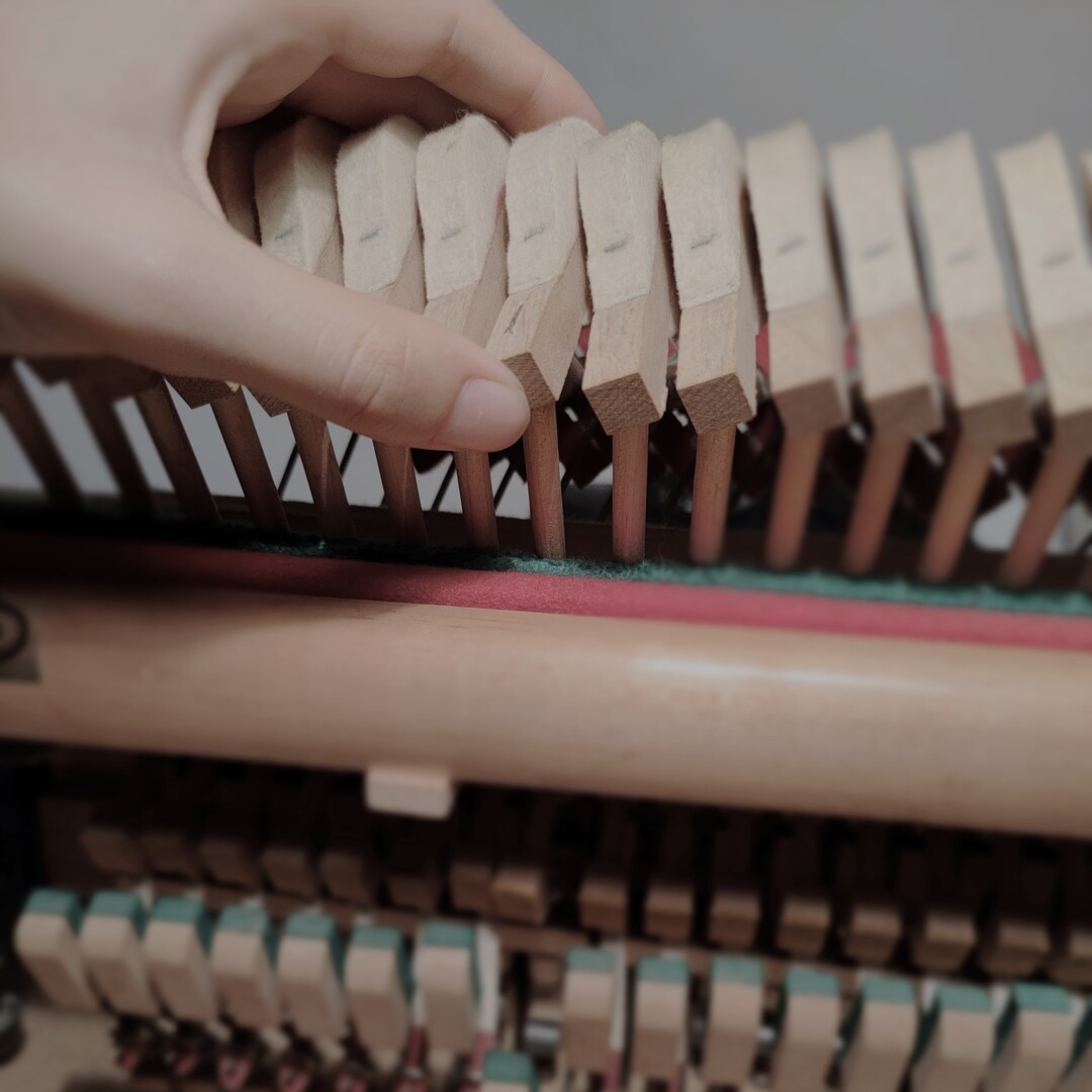 Lea Lamy Riebel - Afinación de pianos Mallorca | Reaparación